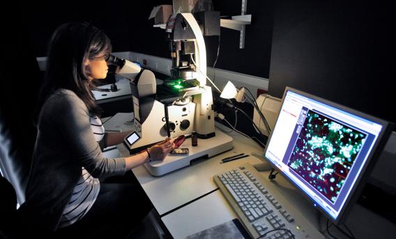 Photo by Chris Close shows researcher looking into microscope